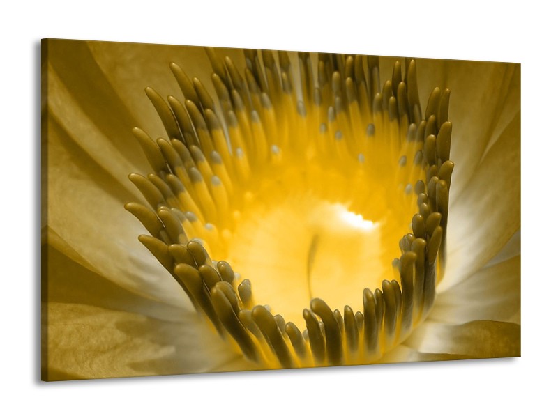 Canvas schilderij Macro | Geel, Grijs | 140x90cm 1Luik