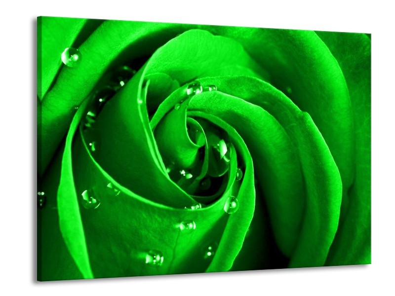 Canvas schilderij Roos | Groen, Zwart | 100x70cm 1Luik