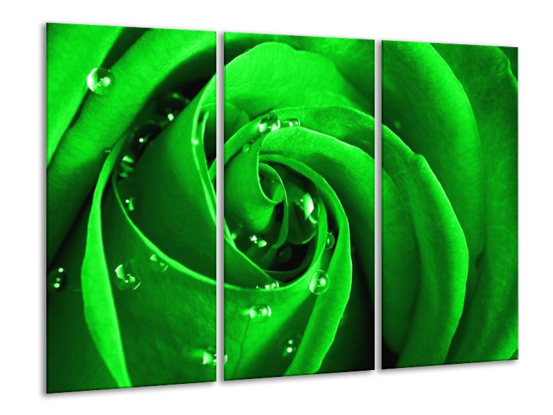 Canvas schilderij Roos | Groen, Zwart | 120x80cm 3Luik