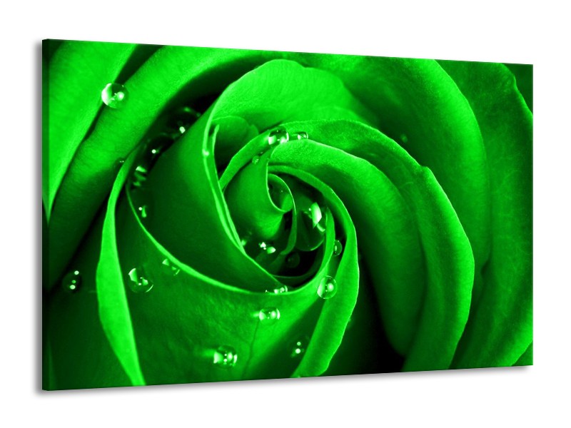 Canvas schilderij Roos | Groen, Zwart | 140x90cm 1Luik