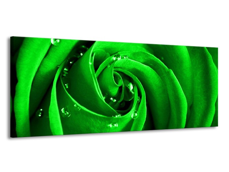 Canvas schilderij Roos | Groen, Zwart | 145x58cm 1Luik