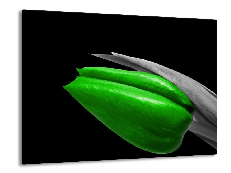 Canvas schilderij Tulp | Groen, Zwart, Grijs | 100x70cm 1Luik