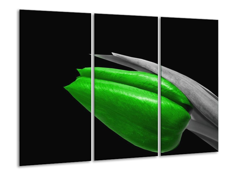Canvas schilderij Tulp | Groen, Zwart, Grijs | 120x80cm 3Luik