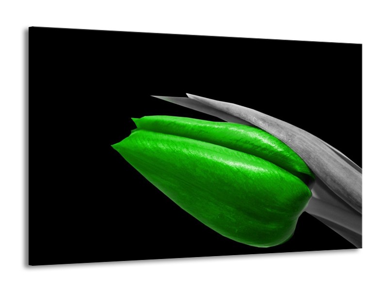 Canvas schilderij Tulp | Groen, Zwart, Grijs | 140x90cm 1Luik