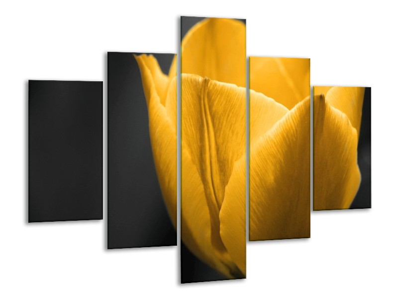 Canvas schilderij Tulp | Geel, Zwart | 100x70cm 5Luik