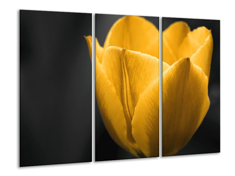 Canvas schilderij Tulp | Geel, Zwart | 120x80cm 3Luik