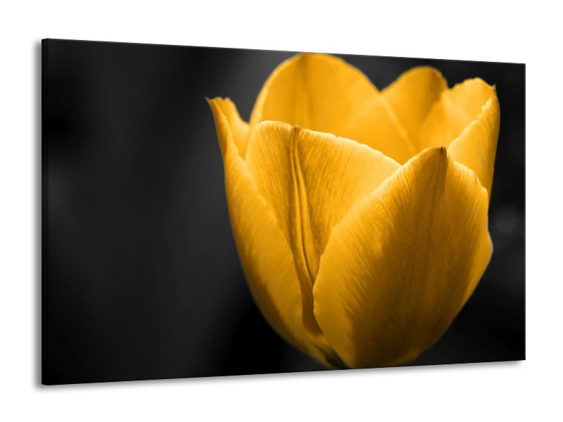 Canvas schilderij Tulp | Geel, Zwart | 140x90cm 1Luik