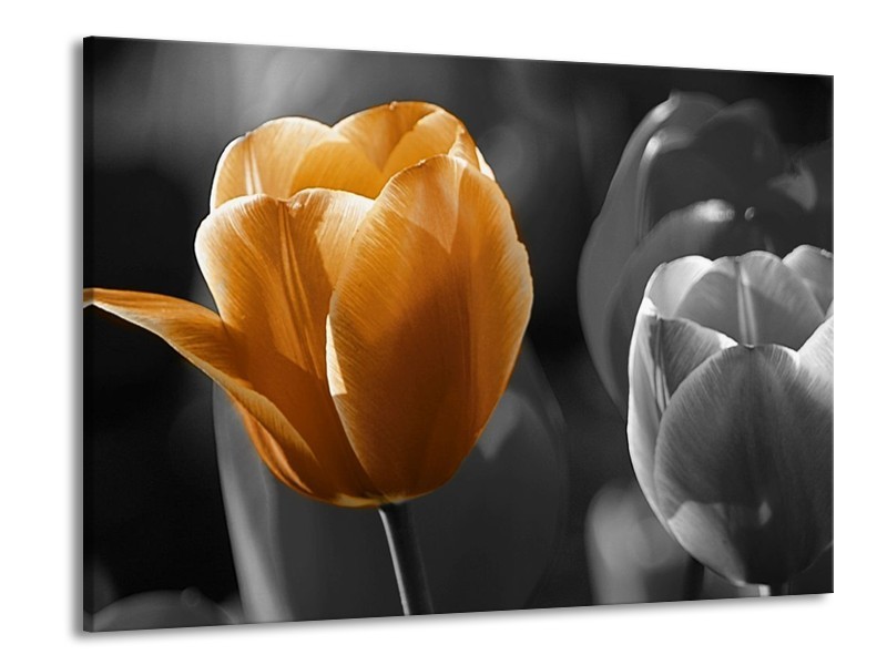 Canvas schilderij Tulp | Geel, Oranje, Grijs | 100x70cm 1Luik