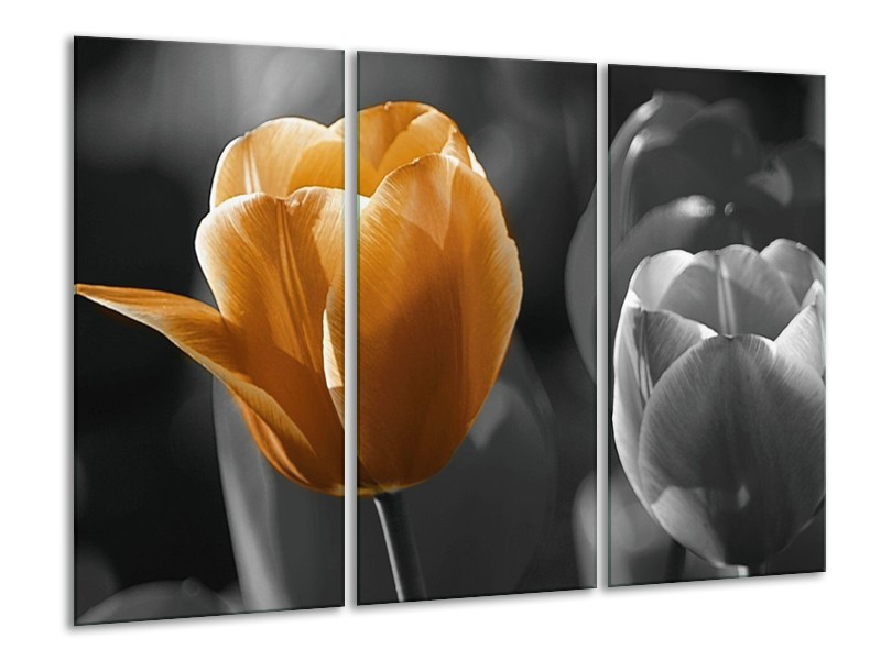 Canvas schilderij Tulp | Geel, Oranje, Grijs | 120x80cm 3Luik