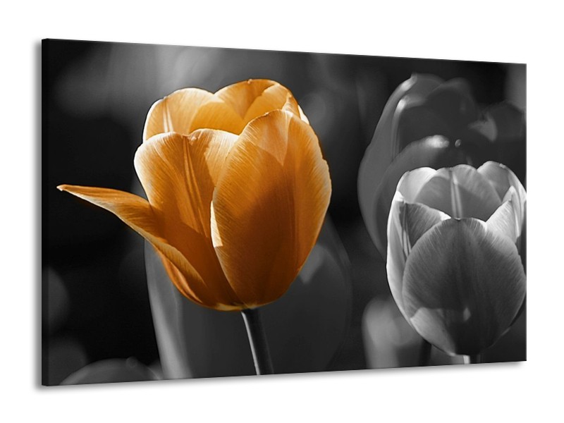 Canvas schilderij Tulp | Geel, Oranje, Grijs | 140x90cm 1Luik