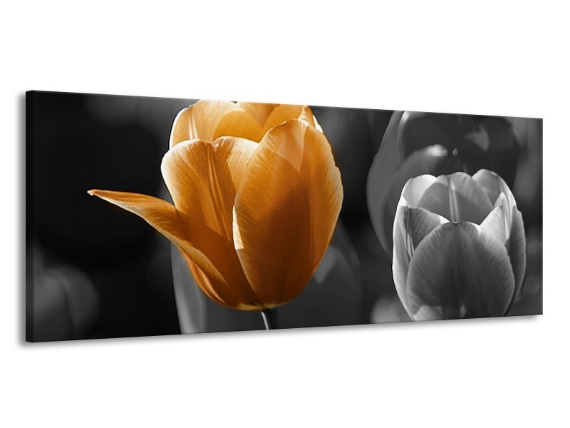 Canvas schilderij Tulp | Geel, Oranje, Grijs | 145x58cm 1Luik
