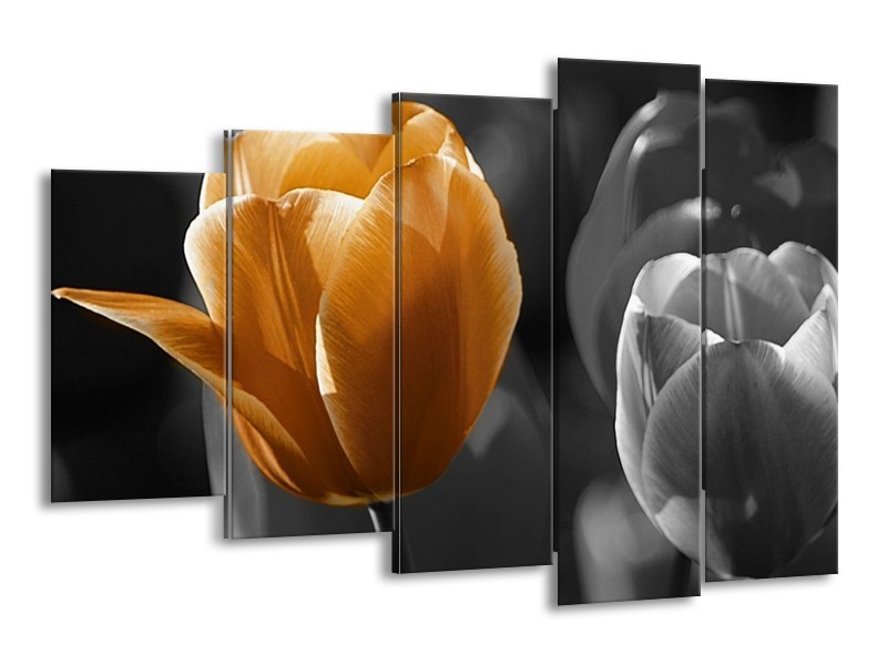 Canvas schilderij Tulp | Geel, Oranje, Grijs | 150x100cm 5Luik