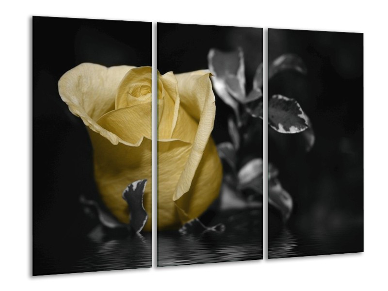 Canvas schilderij Roos | Geel, Grijs, Zwart | 120x80cm 3Luik