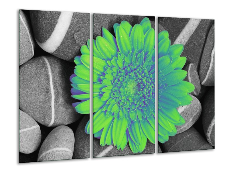 Canvas schilderij Gerbera | Groen, Grijs | 120x80cm 3Luik