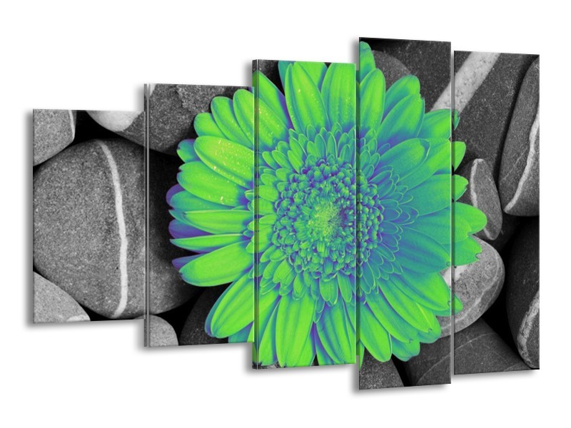 Canvas schilderij Gerbera | Groen, Grijs | 150x100cm 5Luik