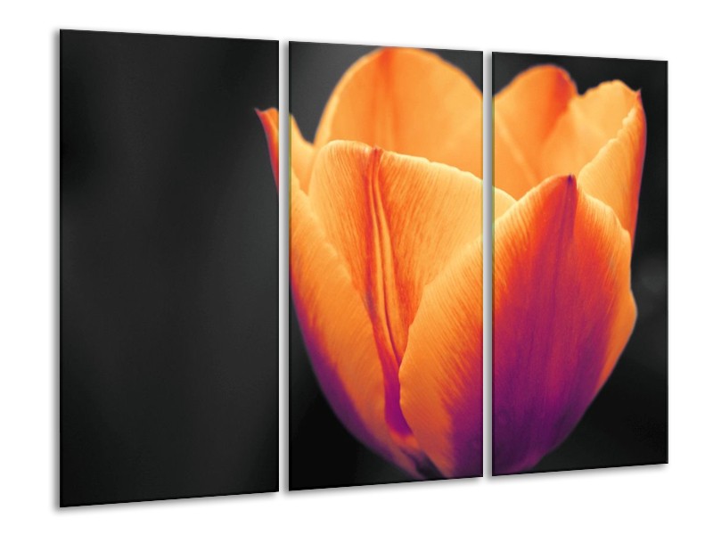 Canvas schilderij Tulp | Oranje, Geel, Zwart | 120x80cm 3Luik
