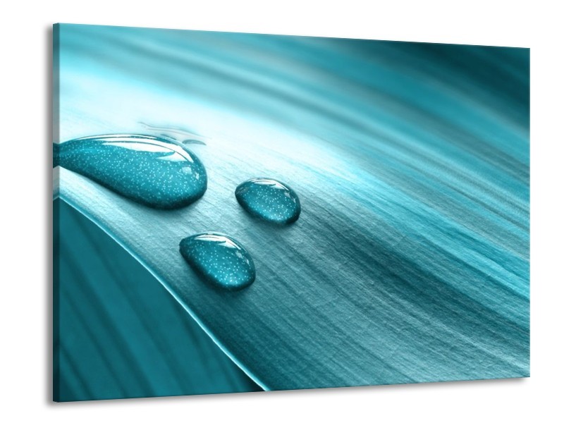 Canvas schilderij Macro | Blauw, Wit, Zwart | 100x70cm 1Luik