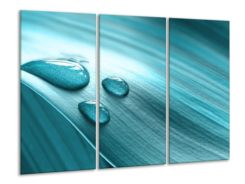 Canvas schilderij Macro | Blauw, Wit, Zwart | 120x80cm 3Luik