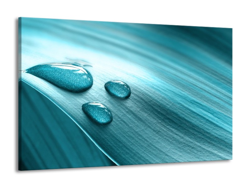 Canvas schilderij Macro | Blauw, Wit, Zwart | 140x90cm 1Luik