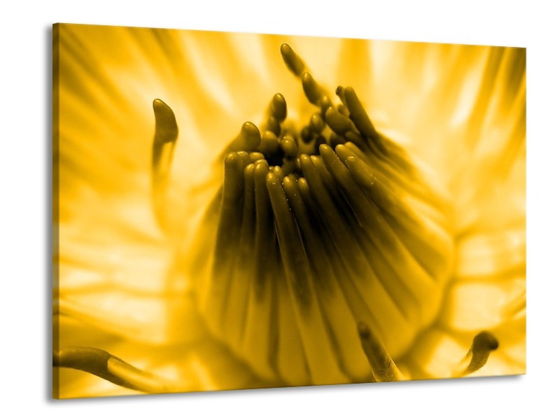 Canvas schilderij Macro | Geel, Bruin | 100x70cm 1Luik