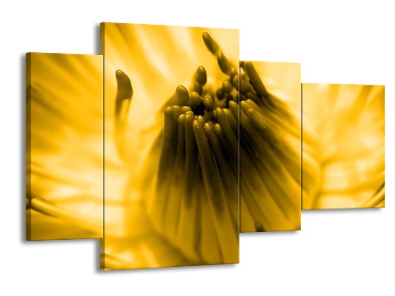 Canvas schilderij Macro | Geel, Bruin | 120x75cm 4Luik