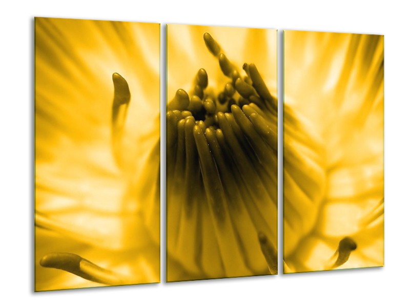 Canvas schilderij Macro | Geel, Bruin | 120x80cm 3Luik