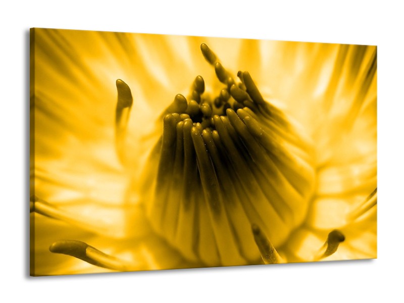 Canvas schilderij Macro | Geel, Bruin | 140x90cm 1Luik