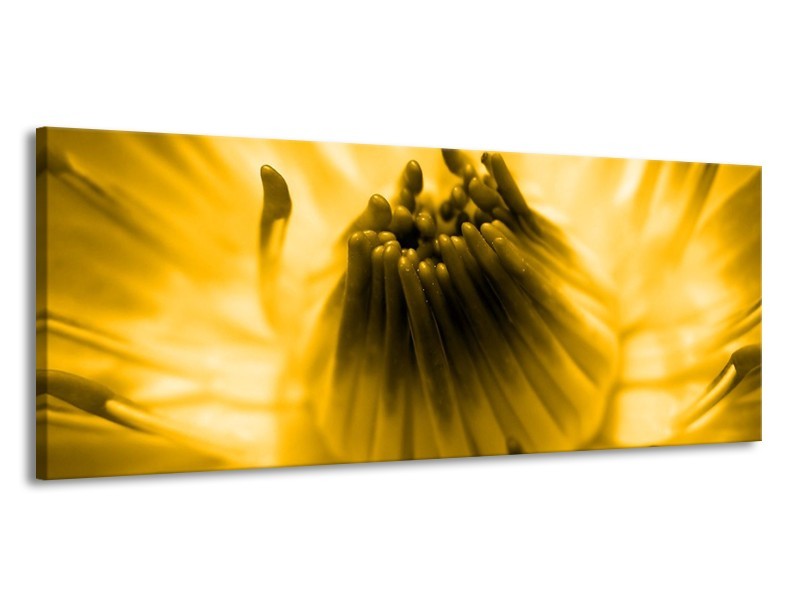 Canvas schilderij Macro | Geel, Bruin | 145x58cm 1Luik