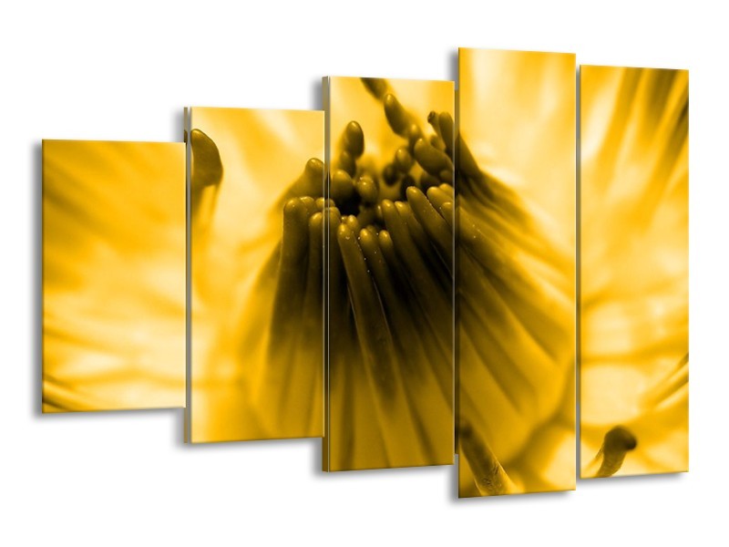 Canvas schilderij Macro | Geel, Bruin | 150x100cm 5Luik