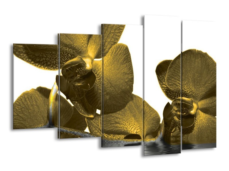 Canvas schilderij Bloem | Groen | 150x100cm 5Luik
