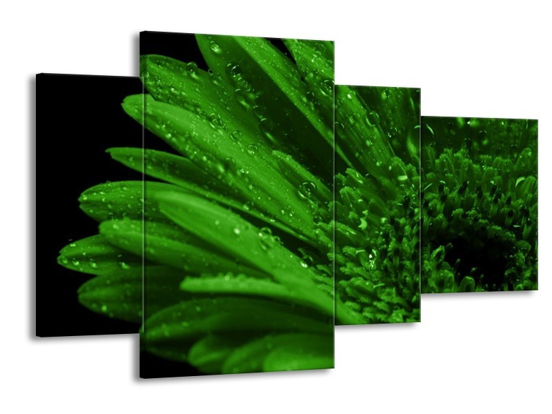 Canvas schilderij Gerber | Groen, Zwart | 120x75cm 4Luik