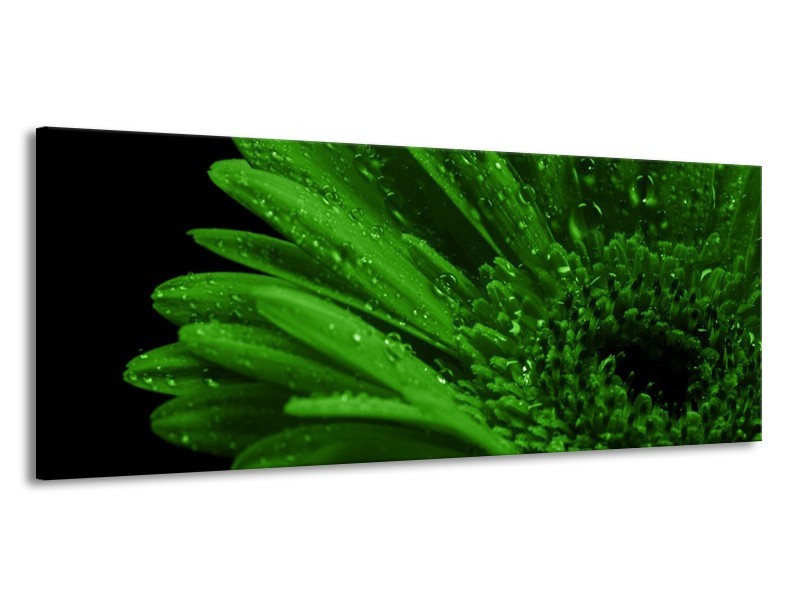 Canvas schilderij Gerber | Groen, Zwart | 145x58cm 1Luik