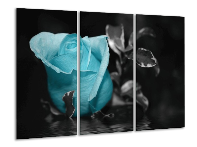 Canvas schilderij Roos | Blauw, Grijs, Zwart | 120x80cm 3Luik
