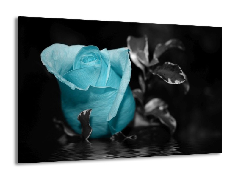 Canvas schilderij Roos | Blauw, Grijs, Zwart | 140x90cm 1Luik