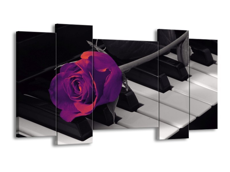 Glas schilderij Roos | Paars, Zwart, Wit | 120x65cm 5Luik