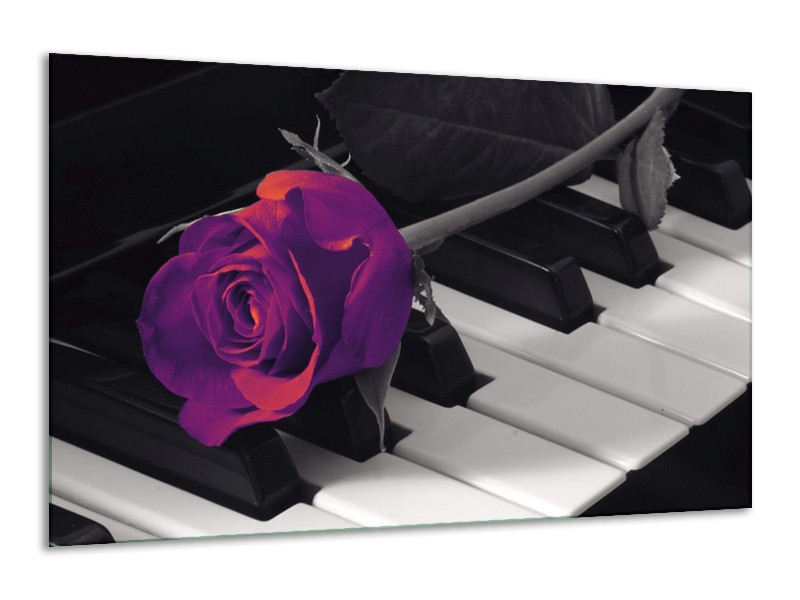 Glas schilderij Roos | Paars, Zwart, Wit | 120x70cm 1Luik
