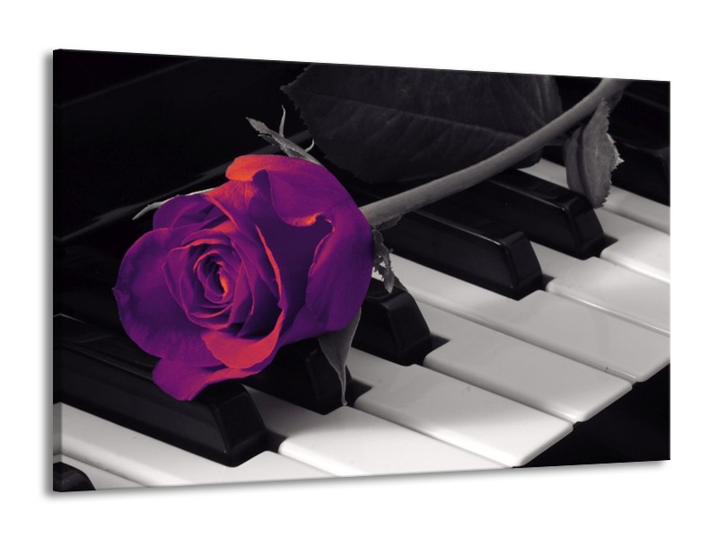 Glas schilderij Roos | Paars, Zwart, Wit | 140x90cm 1Luik