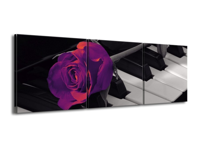 Glas schilderij Roos | Paars, Zwart, Wit | 150x50cm 3Luik