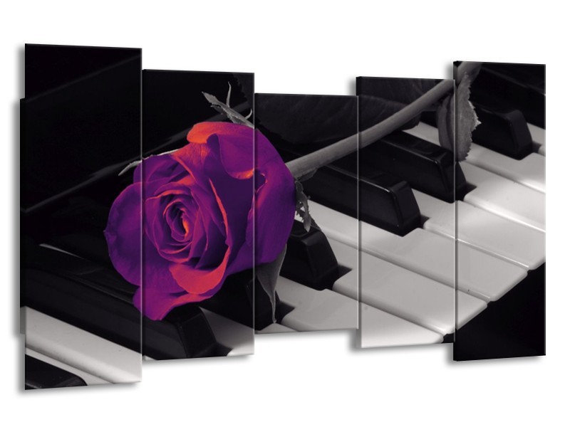 Glas schilderij Roos | Paars, Zwart, Wit | 150x80cm 5Luik