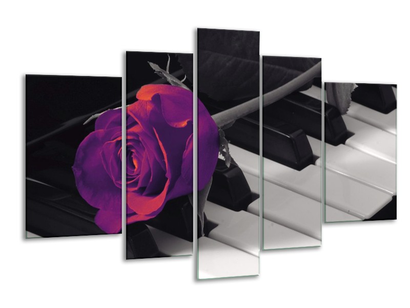 Glas schilderij Roos | Paars, Zwart, Wit | 170x100cm 5Luik
