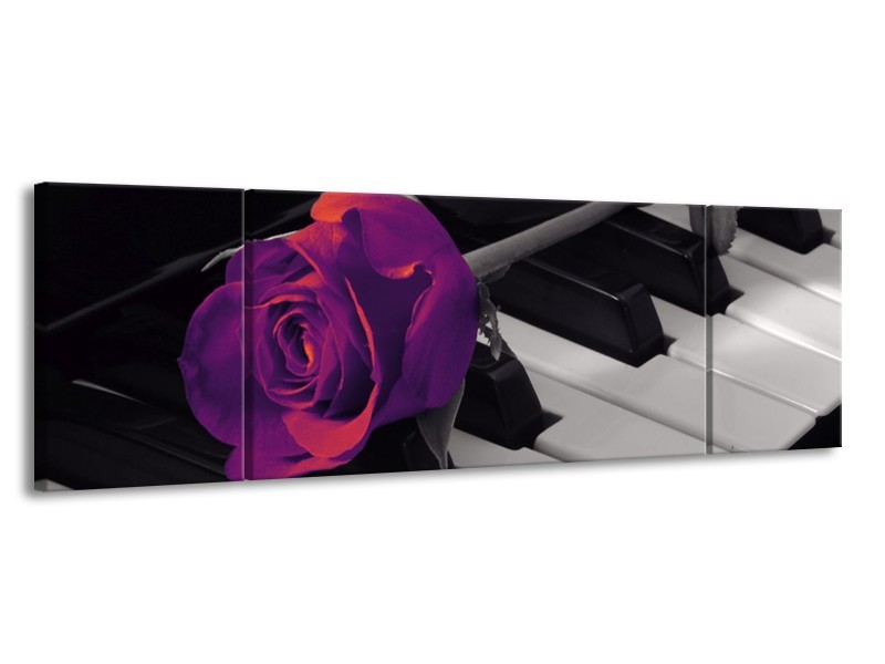 Glas schilderij Roos | Paars, Zwart, Wit | 170x50cm 3Luik