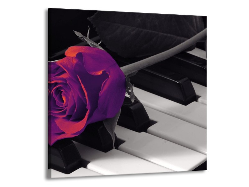Glas schilderij Roos | Paars, Zwart, Wit | 50x50cm 1Luik