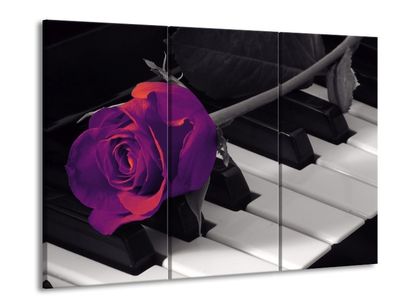 Glas schilderij Roos | Paars, Zwart, Wit | 90x60cm 3Luik