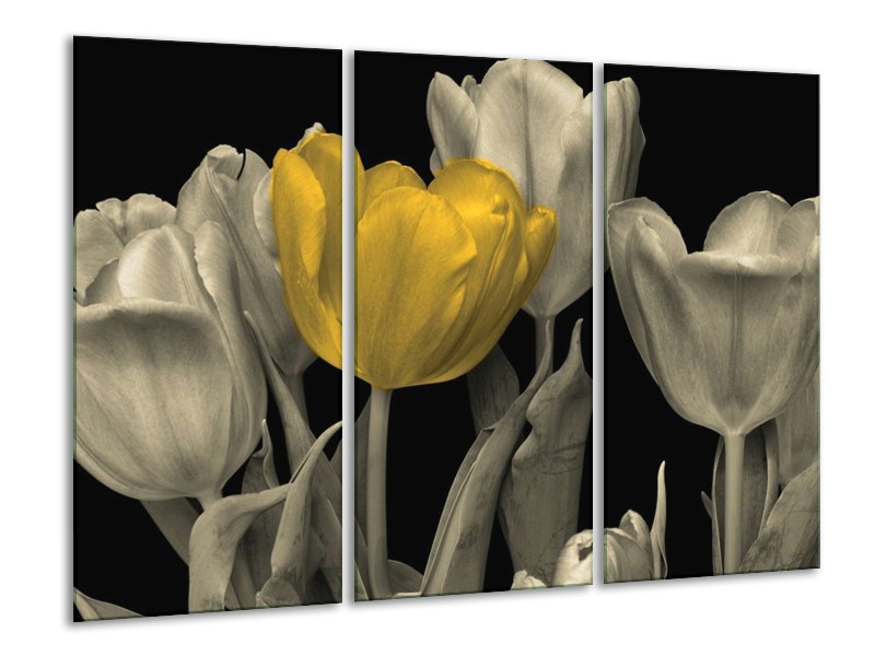 Canvas schilderij Tulp | Geel, Zwart | 120x80cm 3Luik