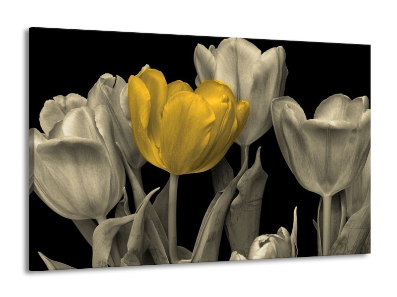 Canvas schilderij Tulp | Geel, Zwart | 140x90cm 1Luik