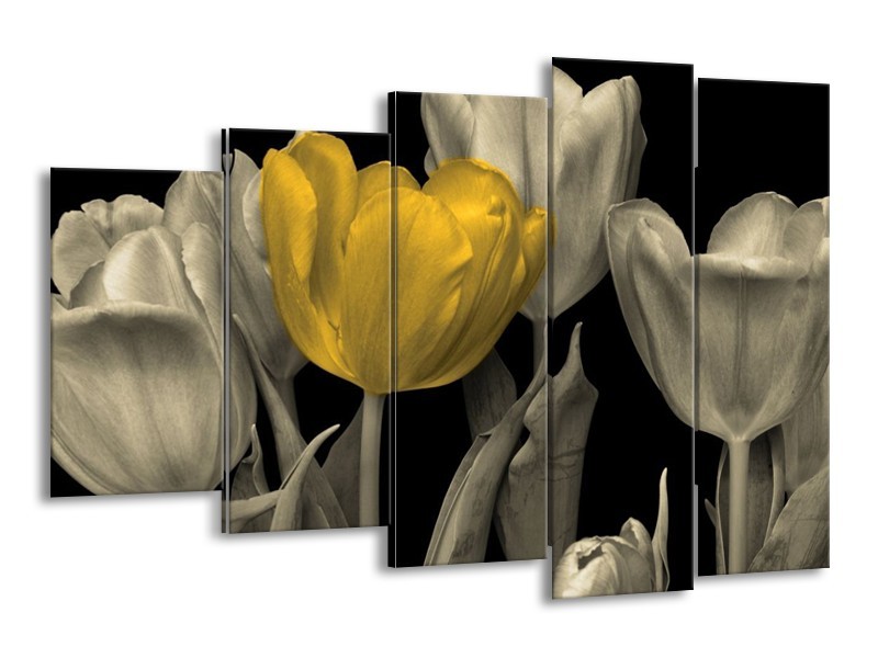 Canvas schilderij Tulp | Geel, Zwart | 150x100cm 5Luik