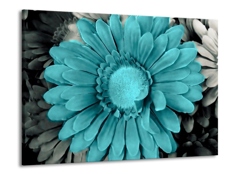 Canvas schilderij Gerbera | Blauw, Grijs | 100x70cm 1Luik