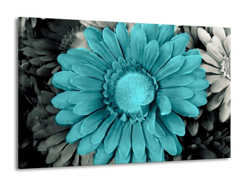 Canvas schilderij Gerbera | Blauw, Grijs | 140x90cm 1Luik