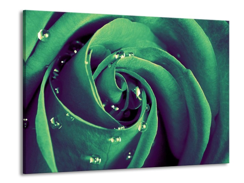 Canvas schilderij Roos | Groen, Zwart | 100x70cm 1Luik