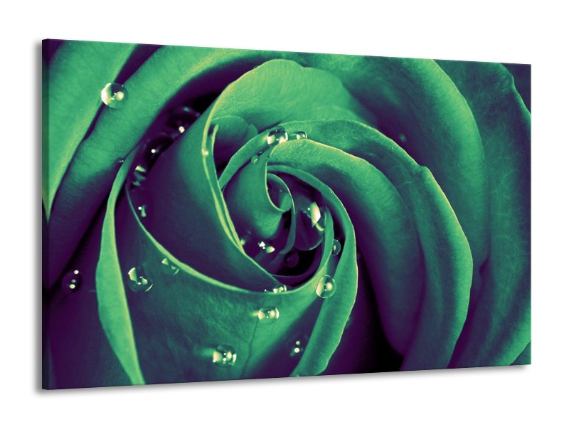 Canvas schilderij Roos | Groen, Zwart | 140x90cm 1Luik